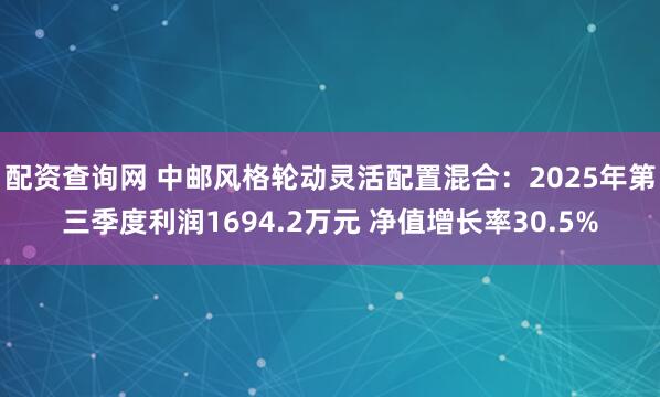 配资查询网 中邮风格轮动灵活配置混合：2025年第三季度利润1694.2万元 净值增长率30.5%