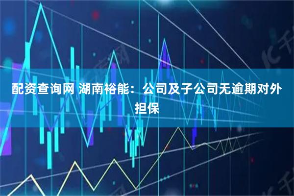 配资查询网 湖南裕能：公司及子公司无逾期对外担保