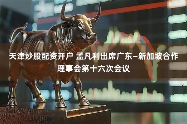 天津炒股配资开户 孟凡利出席广东—新加坡合作理事会第十六次会议